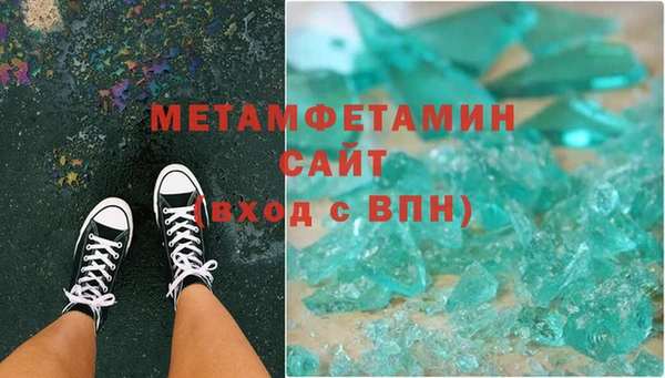 индика Богородицк