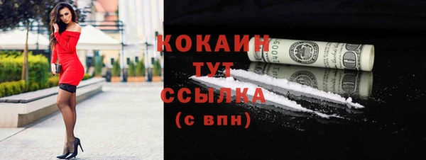 индика Богородицк
