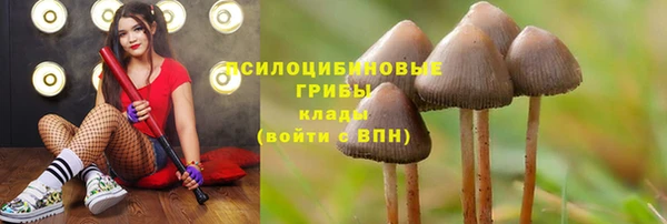 метадон Богородск