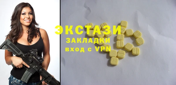 индика Богородицк