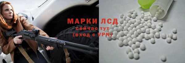 индика Богородицк