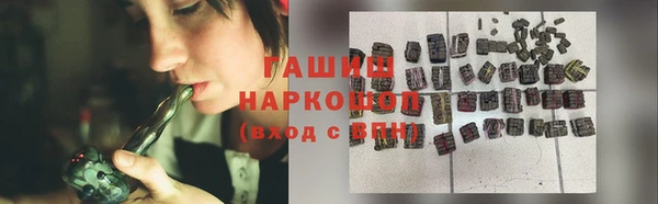 индика Богородицк
