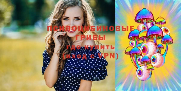 индика Богородицк