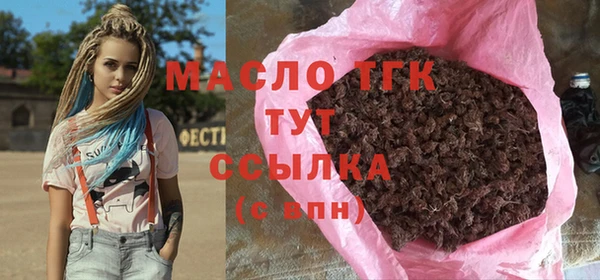 индика Богородицк