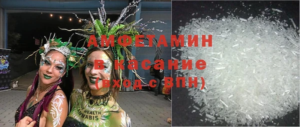 индика Богородицк