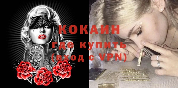 индика Богородицк