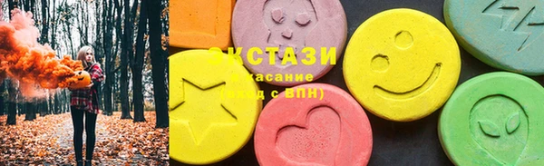 индика Богородицк